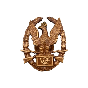 Odznaka wzorowy żołnierz